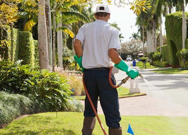About Freeport OH Pest Control